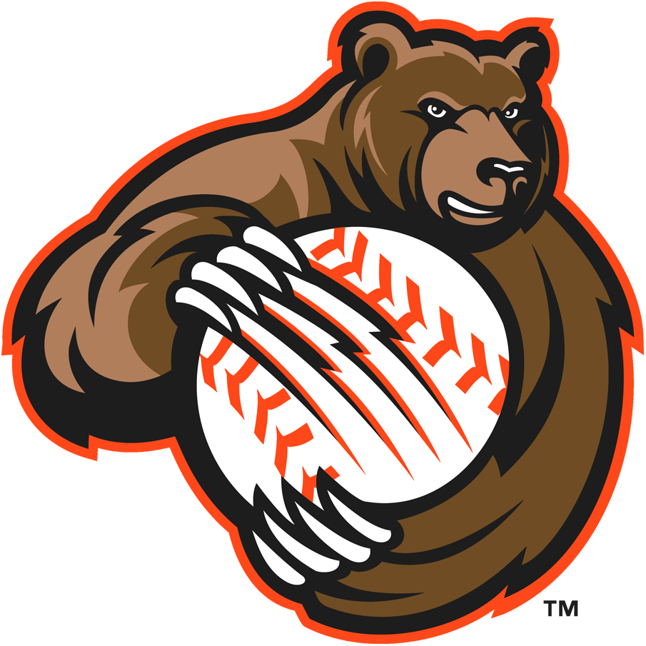 Fresno Grizzlies 2008-2018 Alternate Logo iron on paper